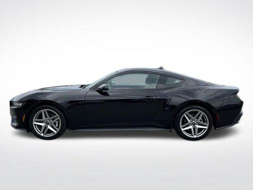 Shadow Black 2024 Ford Mustang EcoBoost