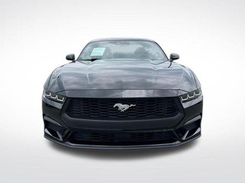Shadow Black 2024 Ford Mustang EcoBoost