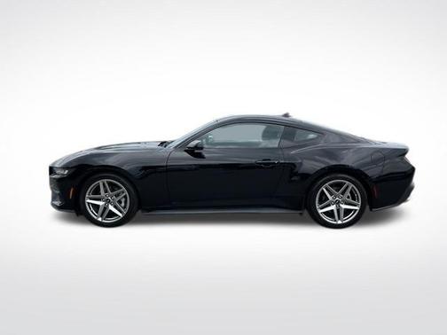 Shadow Black 2024 Ford Mustang EcoBoost