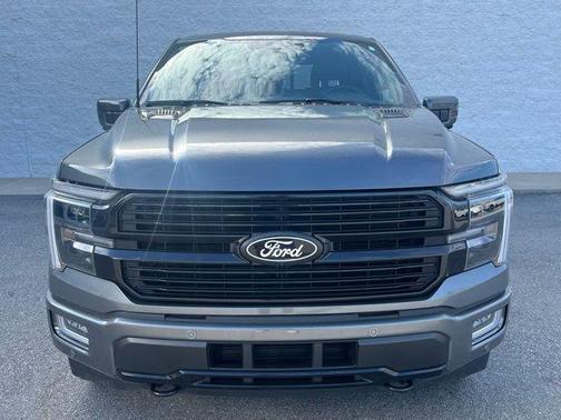 Gray 2025 Ford F-150 Platinum