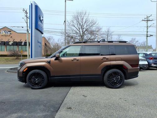Brass 2025 Hyundai SANTA FE HEV Calligraphy