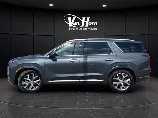 Rainforest 2022 Hyundai PALISADE Limited