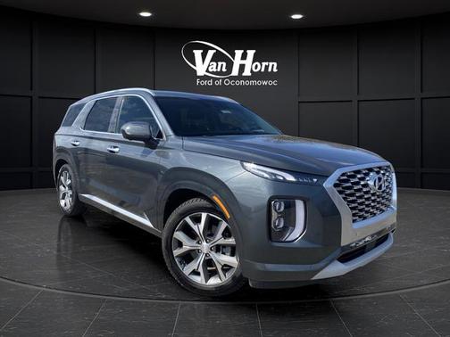 Rainforest 2022 Hyundai PALISADE Limited