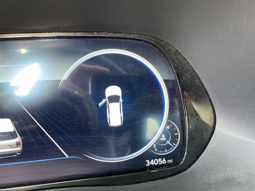 Rainforest 2022 Hyundai PALISADE Limited