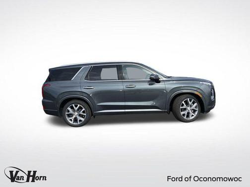 Rainforest 2022 Hyundai PALISADE Limited