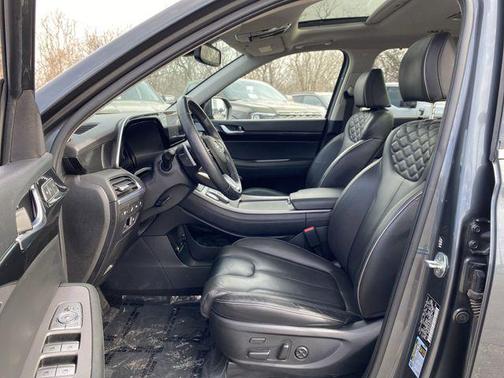 Rainforest 2022 Hyundai PALISADE Limited