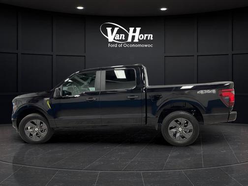 Agate Black Metallic 2025 Ford F-150 STX