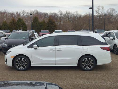 2026 Honda Odyssey Elite