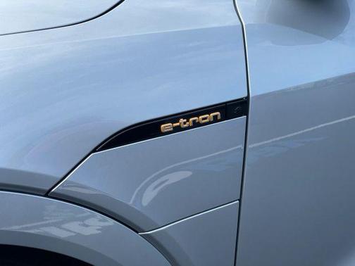 Florett Silver Metallic 2023 Audi e-tron Premium Plus