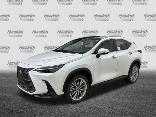 2025 Lexus NX 350 Luxury