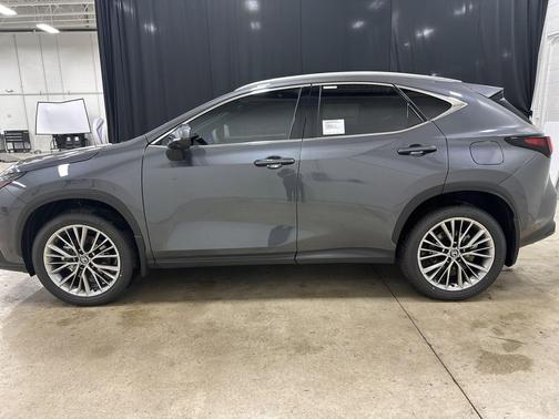 Cloudburst Gray 2026 Lexus NX 350h Premium