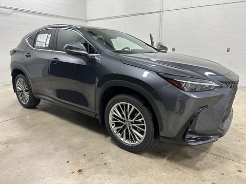 Cloudburst Gray 2026 Lexus NX 350h Premium
