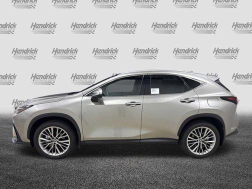 2025 Lexus NX 350 Luxury