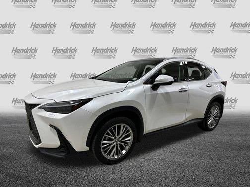 2024 Lexus NX 350 Luxury