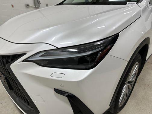 2024 Lexus NX 350 Luxury