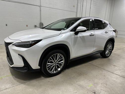 2024 Lexus NX 350 Luxury