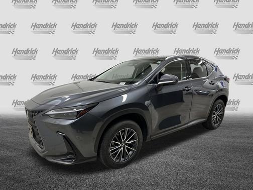 Cloudburst Gray 2025 Lexus NX 350h Luxury