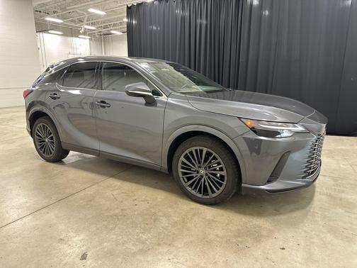 Cloudburst Gray 2025 Lexus RX 350 Base