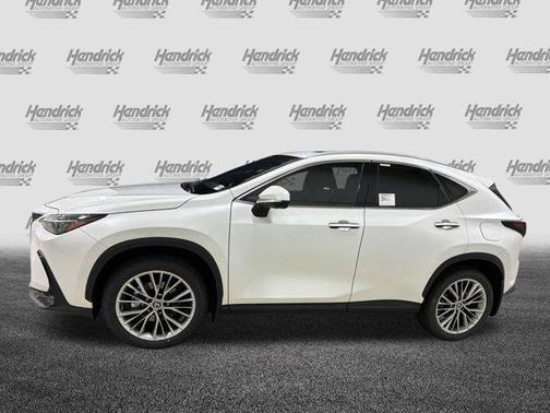 2025 Lexus NX 350 Premium