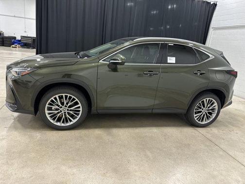 2025 Lexus NX 350h Luxury