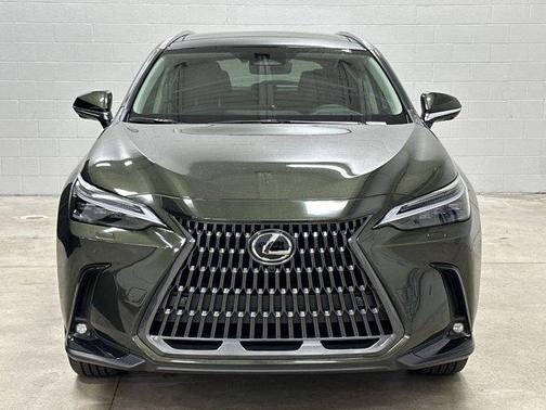 2025 Lexus NX 350h Luxury