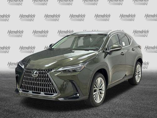 2025 Lexus NX 350h Luxury