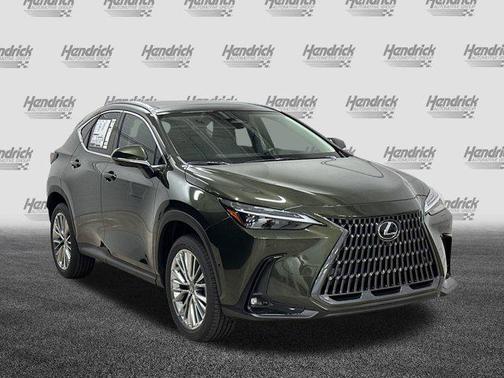 2025 Lexus NX 350h Luxury