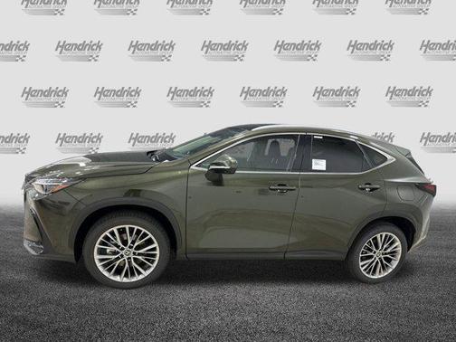 2025 Lexus NX 350h Luxury