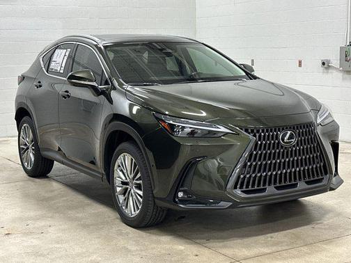 2025 Lexus NX 350h Luxury