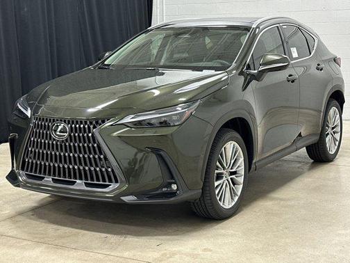 2025 Lexus NX 350h Luxury