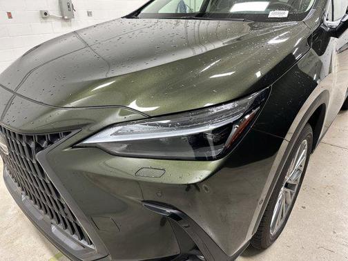 Nori Green Pearl 2025 Lexus NX 350h Luxury