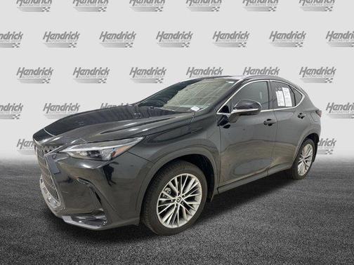 2025 Lexus NX 350 Premium
