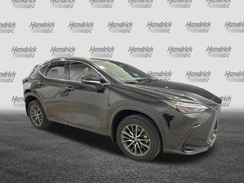 2024 Lexus NX 350 Premium