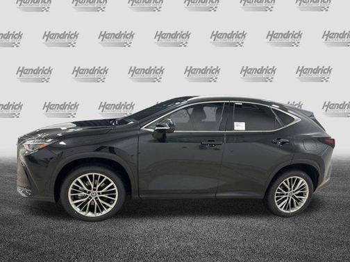 2025 Lexus NX 350h Luxury