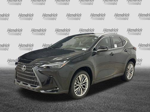 2025 Lexus NX 350h Luxury
