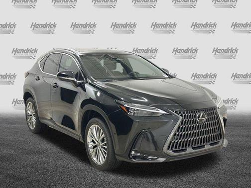 2025 Lexus NX 350h Luxury
