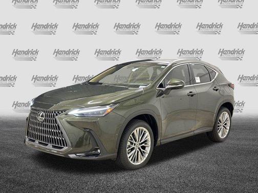 2025 Lexus NX 350 Luxury