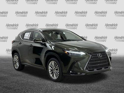 2025 Lexus NX 350 Luxury