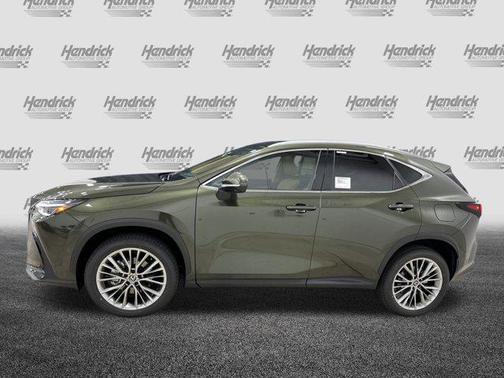 2025 Lexus NX 350 Luxury