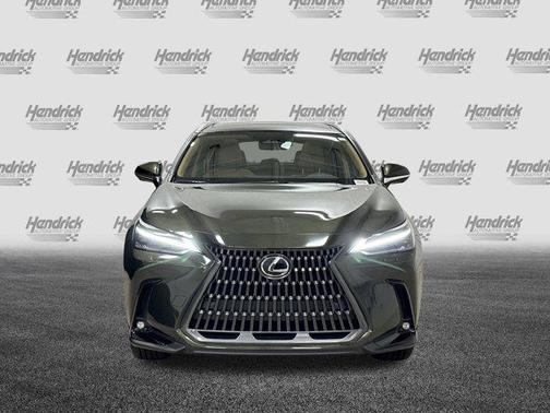 2025 Lexus NX 350 Luxury