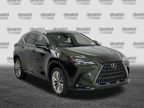 2025 Lexus NX 350 Premium