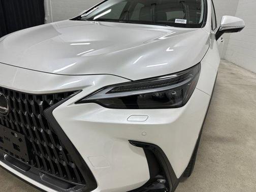 2025 Lexus NX 350h Luxury