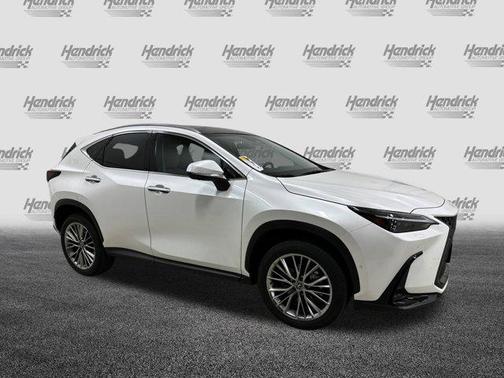2025 Lexus NX 350h Luxury