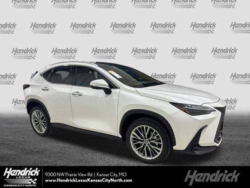2025 Lexus NX 350 Luxury