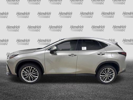 2025 Lexus NX 350 Luxury