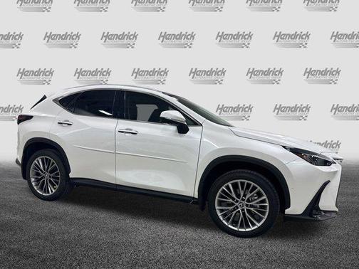 2025 Lexus NX 350h Luxury