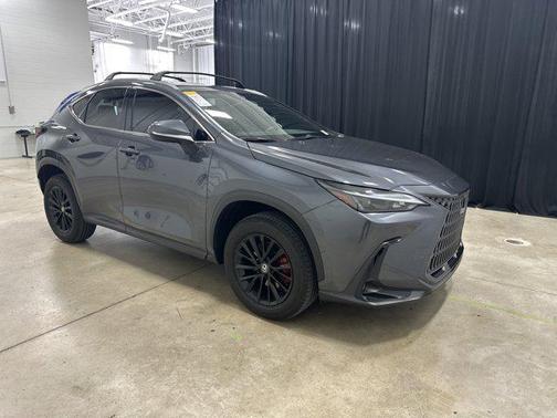 Cloudburst Gray 2024 Lexus NX 350 Premium