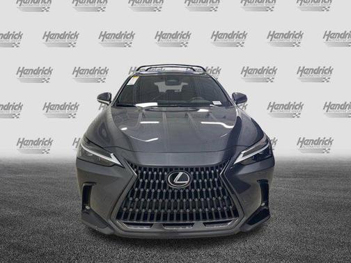 Cloudburst Gray 2024 Lexus NX 350 Premium