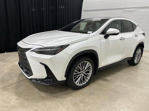 2025 Lexus NX 350 Luxury