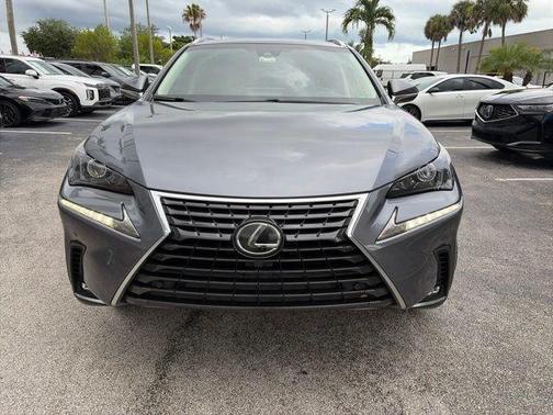 Gray Pearl 2019 Lexus NX 300 Base